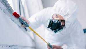 Best Residential Pest Control  in Tuckahoe, NY